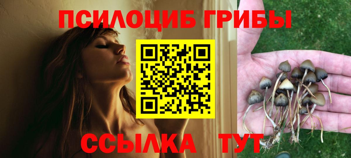 Псилоцибиновые грибы прущие грибы  Вход с VPN  Таганрог 
