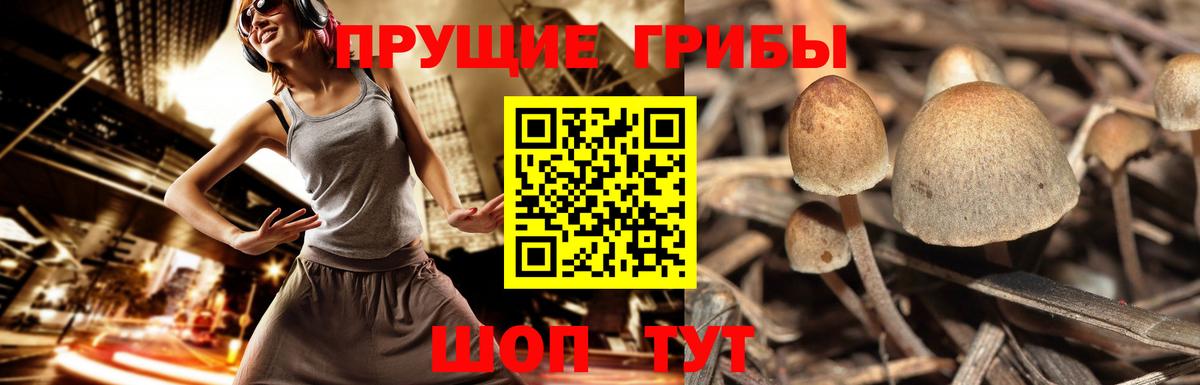 Псилоцибиновые грибы MAGIC MUSHROOMS Таганрог